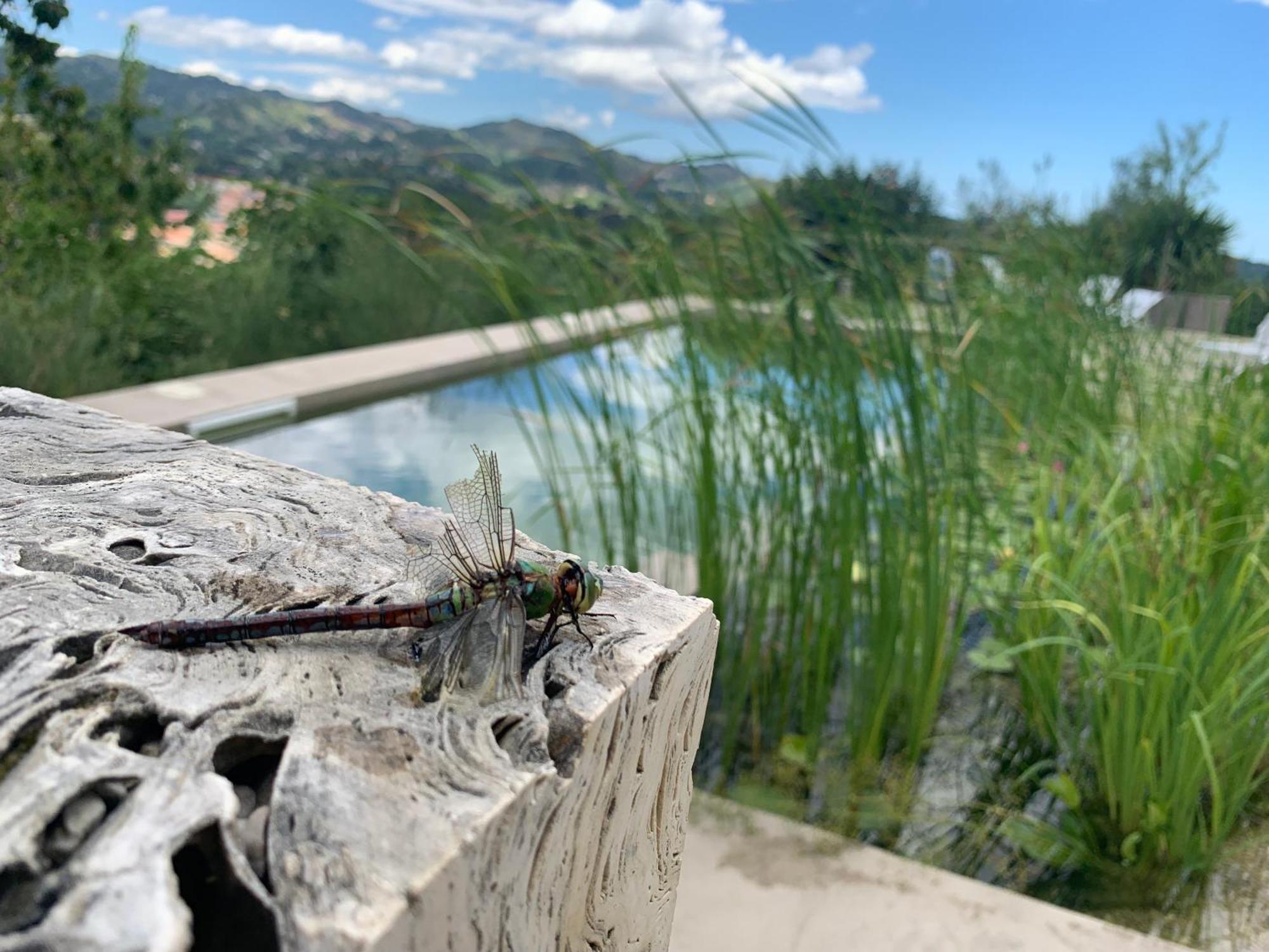 Villa Fortezza Antique Rooms Ascoli Piceno Exteriör bild