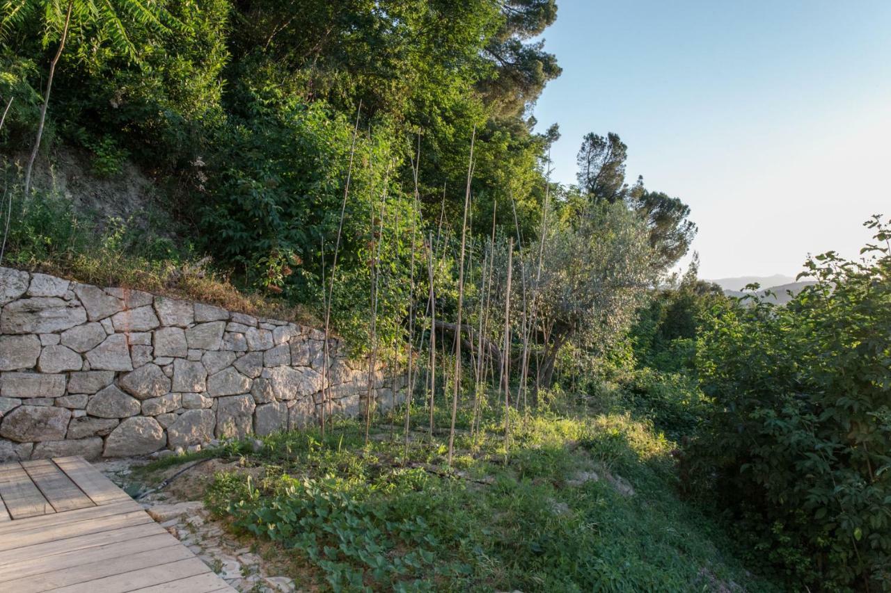 Villa Fortezza Antique Rooms Ascoli Piceno Exteriör bild